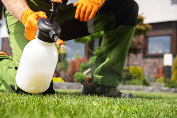 Best Wasp Removal Services  in Gonzalez, FL