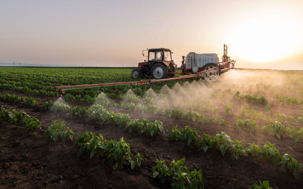 Professional Pest Control in Gonzalez, FL