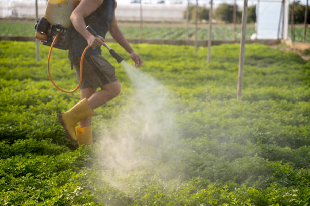 Best Pest Removal Services  in Gonzalez, FL