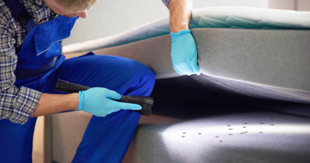 Best Emergency Pest Control  in Gonzalez, FL