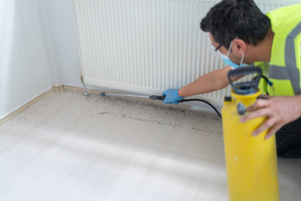 Best Residential Pest Control  in Gonzalez, FL